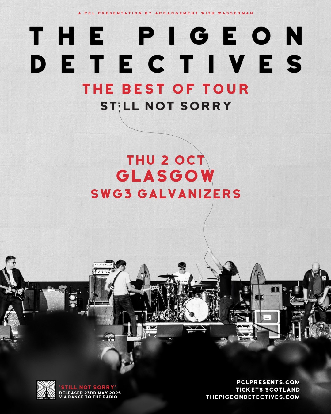 The Pigeon Detectives 