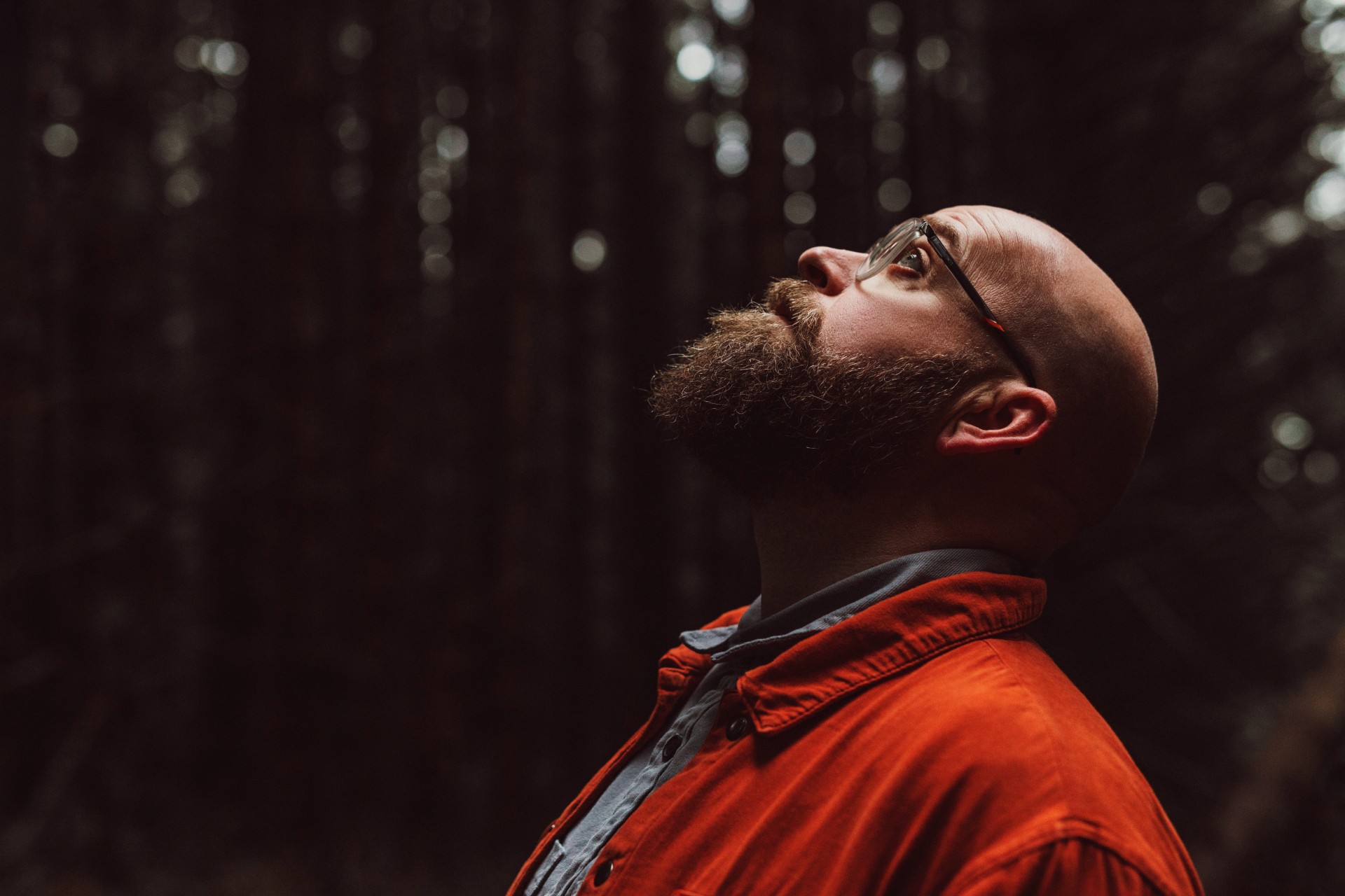 Findlay Napier - Matinee Show